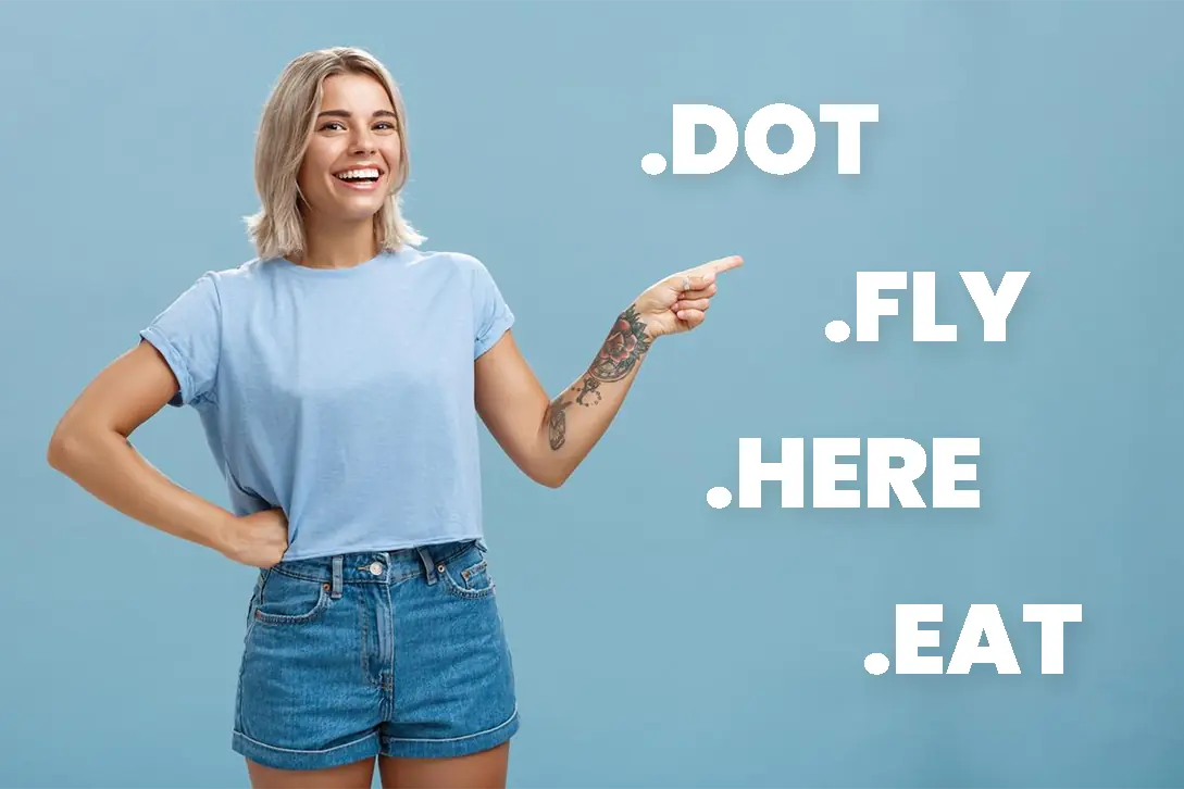 Logo RegZone Portfolio Expands: Get the New .DOT, .FLY, .HERE, and .EAT TLDs